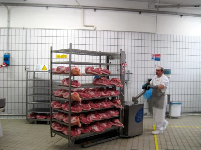 Porta-paletes e empilhadores de aço inoxidável BADA: A solução ideal para o manuseamento interno